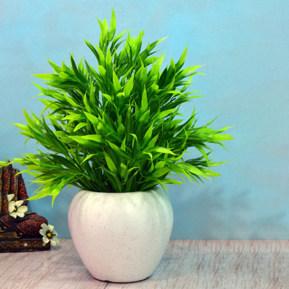 https://soulstylez.com/products/green-white-artificial-bamboo-leaves-in-apple-pot