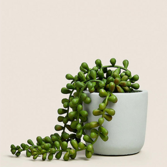 https://soulstylez.com/products/green-artificial-plant-with-pot